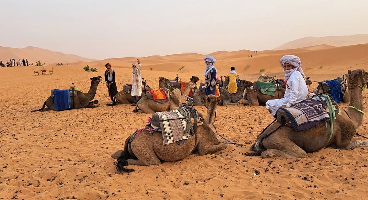 Desert Trip :  4‑Day Itinerary - View 2