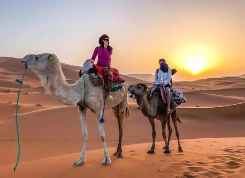Merzouga Camel Ride & Desert Camp - 4