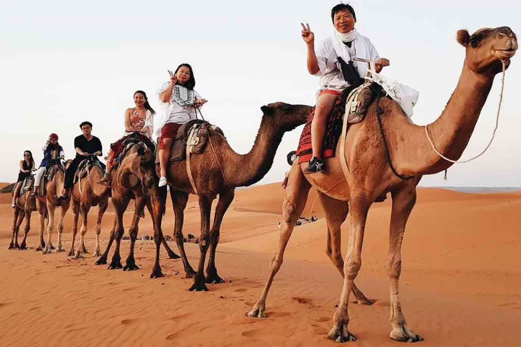 Merzouga Camel Ride & Desert Camp - 5