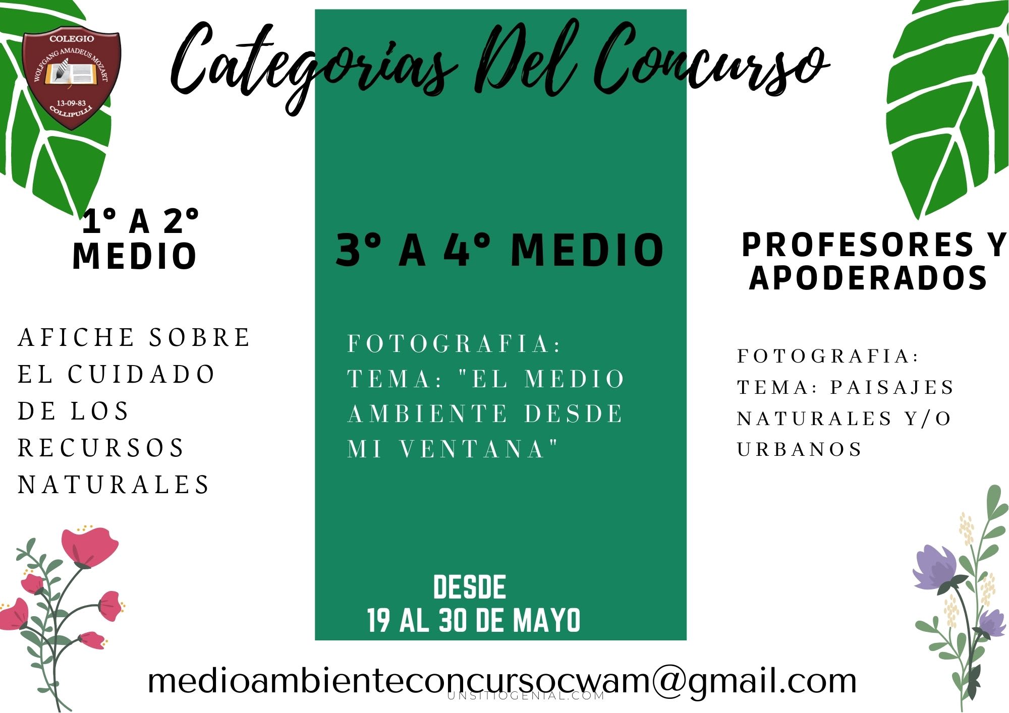 galeria