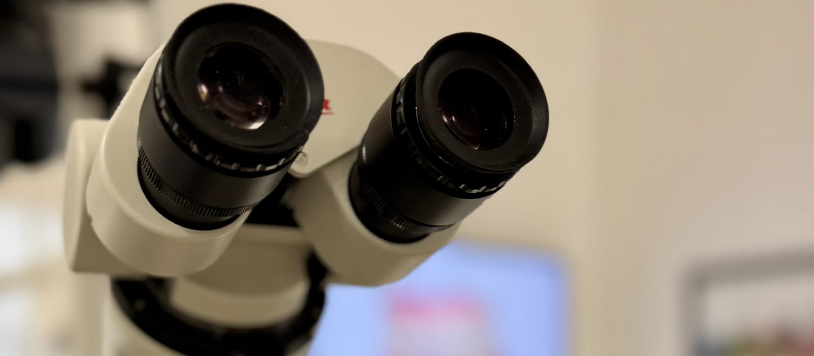 Cure dentali con microscopio operatorio Leica a Torino per massima precisione