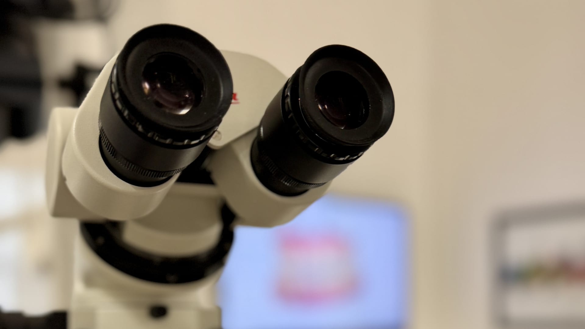 Cure dentali con microscopio operatorio Leica a Torino per massima precisione