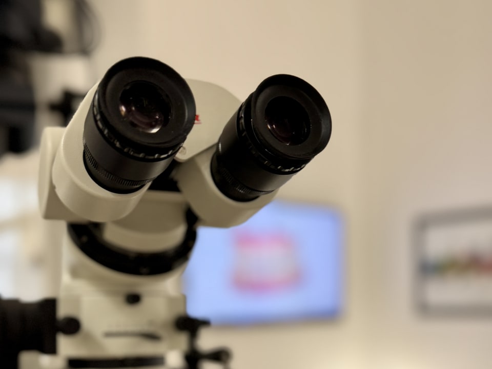 Cure dentali con microscopio operatorio Leica a Torino per massima precisione