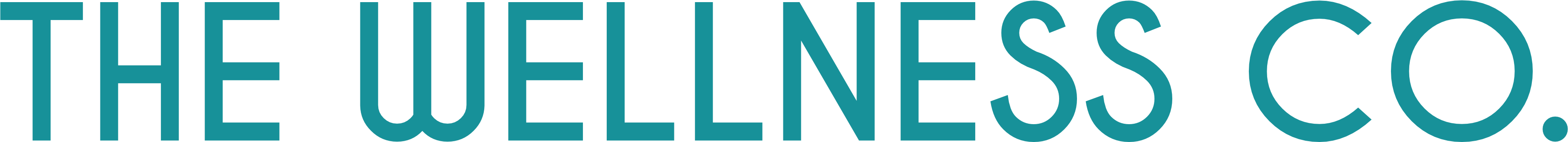 The Wellness Co logo
