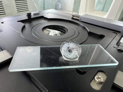 В КемГУ разработаны лечебные контактные линзы