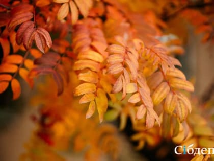 Скоро потеплеет в Кузбассе