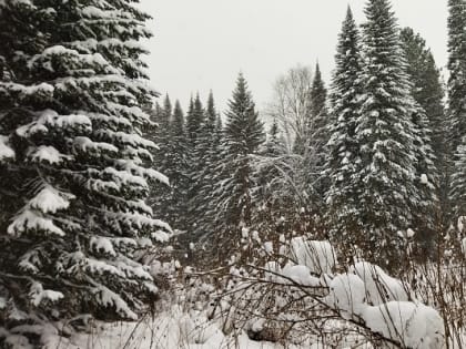 Прогноз погоды на территории Кузбасса на 03 февраля 2025 года