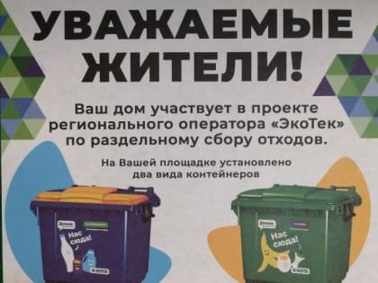 Раздельный сбор мусора разделил ответственность в суде: новокузнечанин узнал, чем отличаются синие и зелёные контейнеры, когда они въехали в его машину