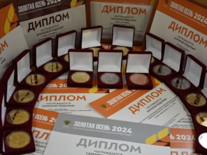 Новые инициативы по улучшению городской инфраструктуры