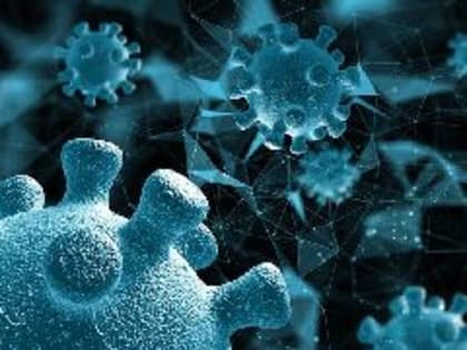Новые инициативы по улучшению городской инфраструктуры