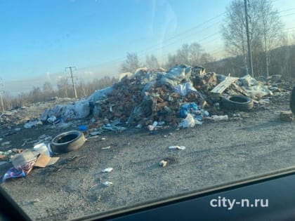 Новокузнечанка показала, что творится в окрестностях городского мусорного полигона (ФОТО)