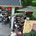 WIND COFFEE - 11