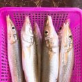 NHÀ HÀNG HẢI SẢN BÉ BỐNG - 9