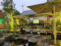 WIND COFFEE - 13