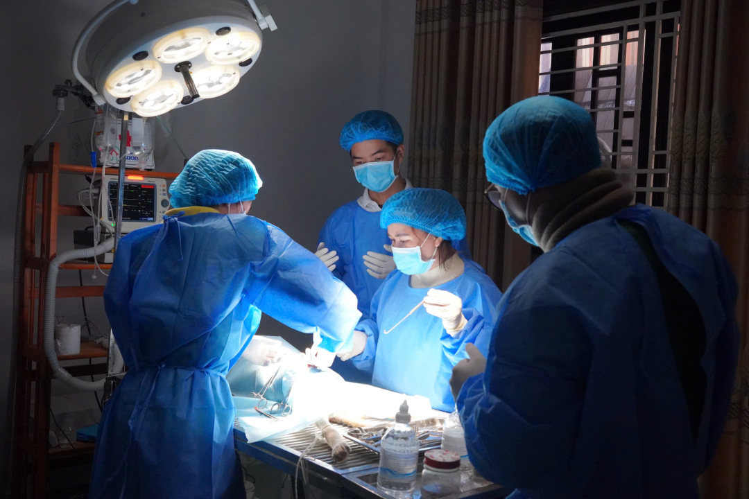 Thumbnail của Phẫu thuật mở rộng niệu đạo cho chó mèo – Giải pháp tối ưu cho hẹp đường tiểu và sỏi tái phát