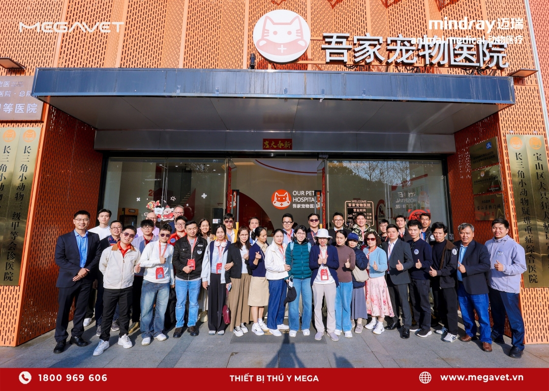 Thumbnail của Tuyển dụng Bác sĩ Thú y tại Huế – Cơ hội làm việc chuyên nghiệp tại MB VET miền Trung