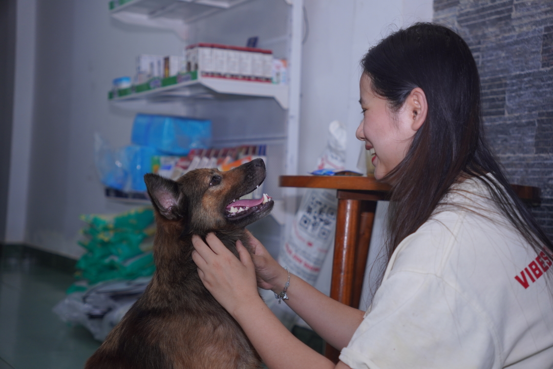 Thumbnail của Chó chảy máu mũi 3 lần liên tiếp – MB VET phát hiện đồng nhiễm Ehrlichia canis và Babesia, hồi phục ngoạn mục sau 3 ngày điều trị