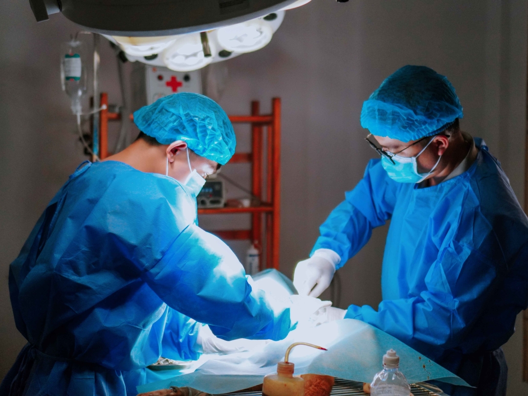 Thumbnail của Phòng khám thú y Phường Mỹ Thượng Thành phố Huế – MB VET chăm sóc thú cưng toàn diện