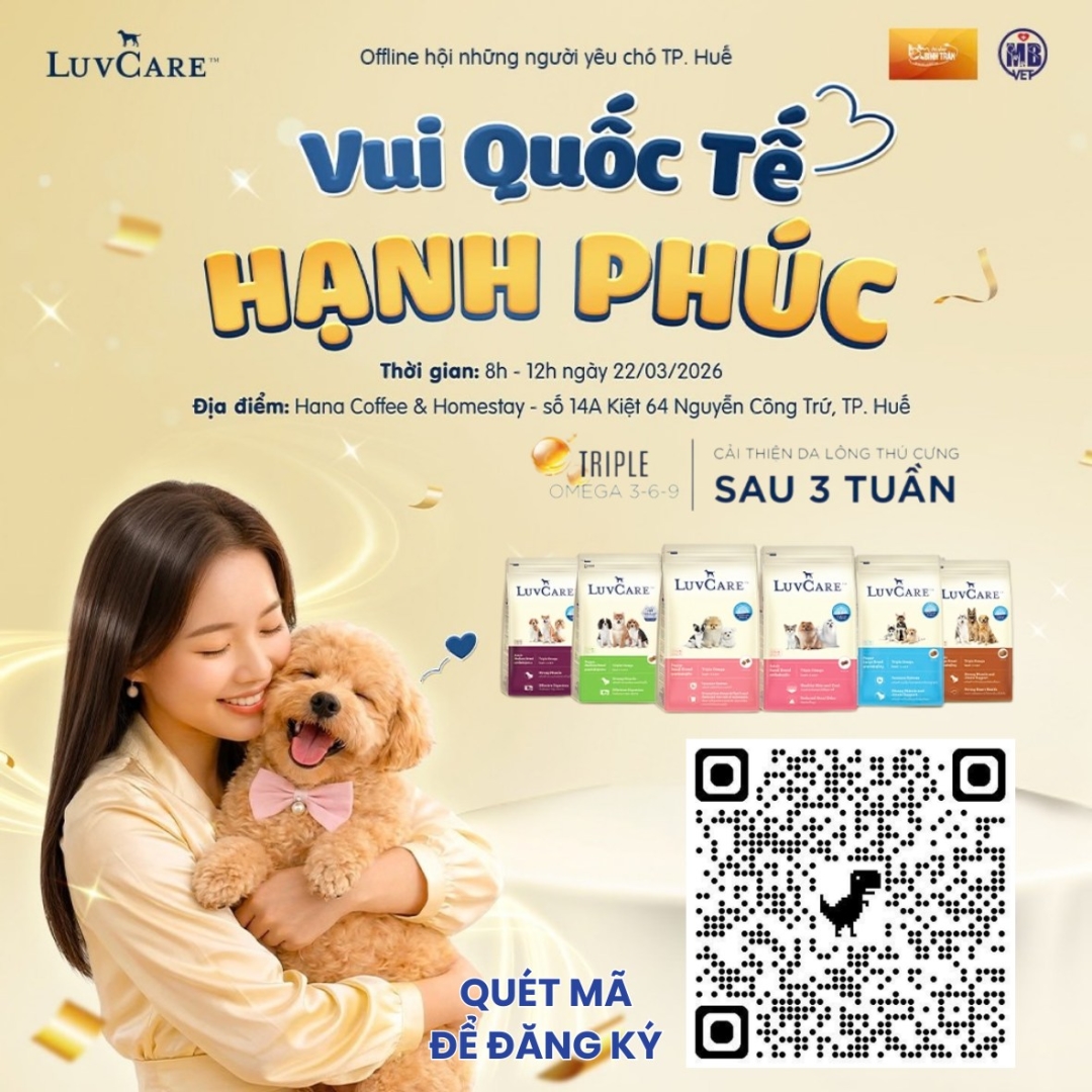 Thumbnail của OFFLINE CỘNG ĐỒNG YÊU CHÓ TẠI HUẾ – KHÔNG GIAN KẾT NỐI SEN & BOSS CUỐI TUẦN