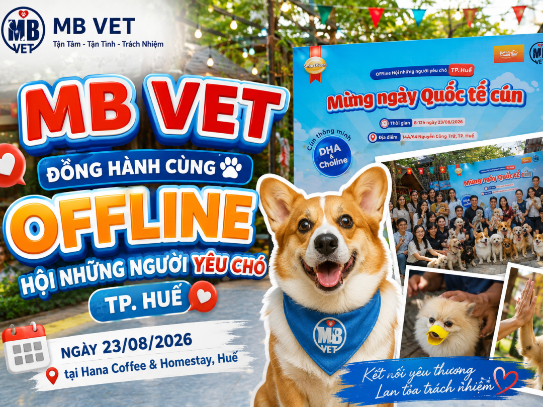 Thumbnail của MB VET đồng hành cùng Offline Hội Những Người Yêu Chó TP. Huế nhân International Dog Day 2026