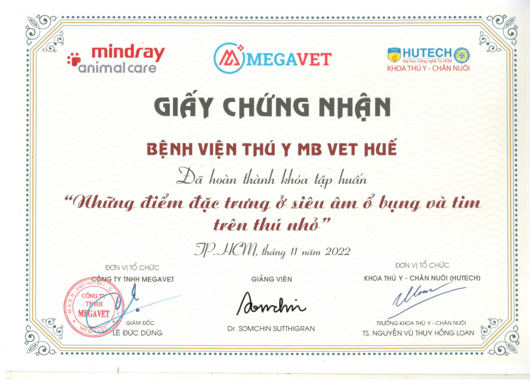 Giấy chứng nhận khóa tập huấn Những điểm đặc trưng của siêu âm ổ bụng và tim trên thú nhỏ của MBVet Huế