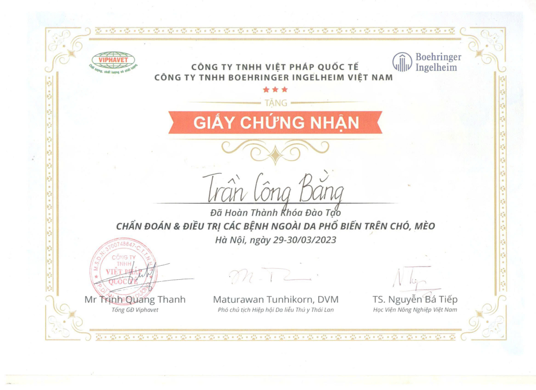 Giấy chứng nhận hoàn thành khóa đào tạo Chẩn đoán và điều trị các bênh ngoài da phổ biến trên chó mèo của MBVet Huế