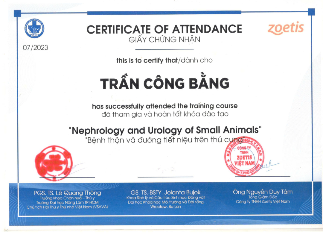 Giấy chứng nhận hoàn thành khóa đào tạo Bệnh thận và tiết niệu trên thú cưng của MBVet Huế