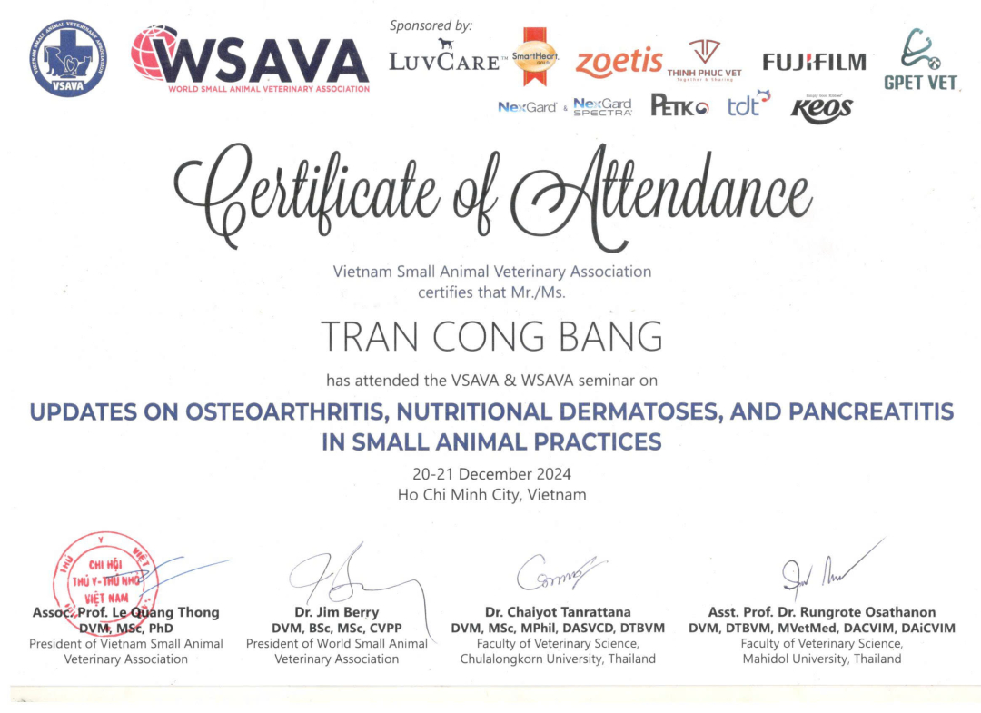 Giấy chứng nhận tham gia hội thảo Updates on osteoarthritis, nutritional dermatoses and pancreatitis in small animal practices của MBVet Huế