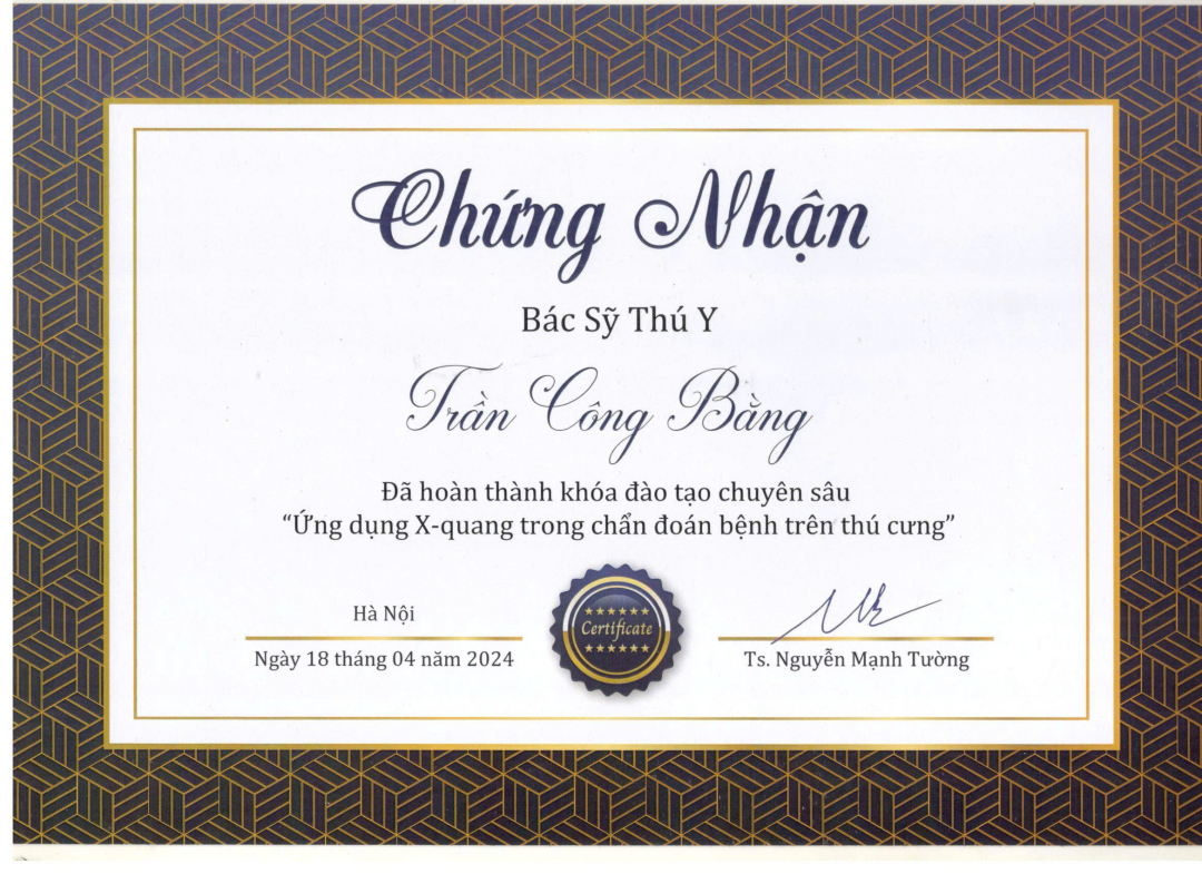 Giấy chứng nhận hoàn thành khóa chuyên sâu Ứng dụng X-Quang trong chẩn đoán bệnh trên thú cưng của MBVet Huế