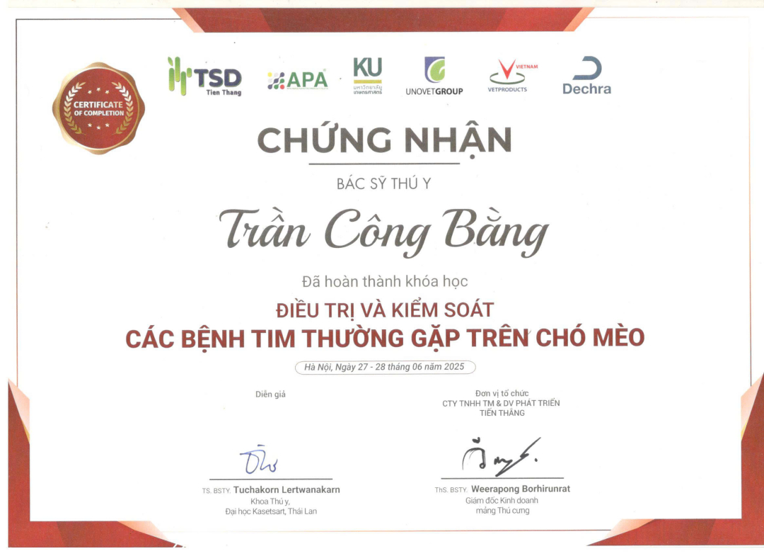 Giấy chứng nhận hoàn thành khóa học Điều trị và kiểm soát các bệnh về tim thường gặp trên chó mèo của MBVet Huế