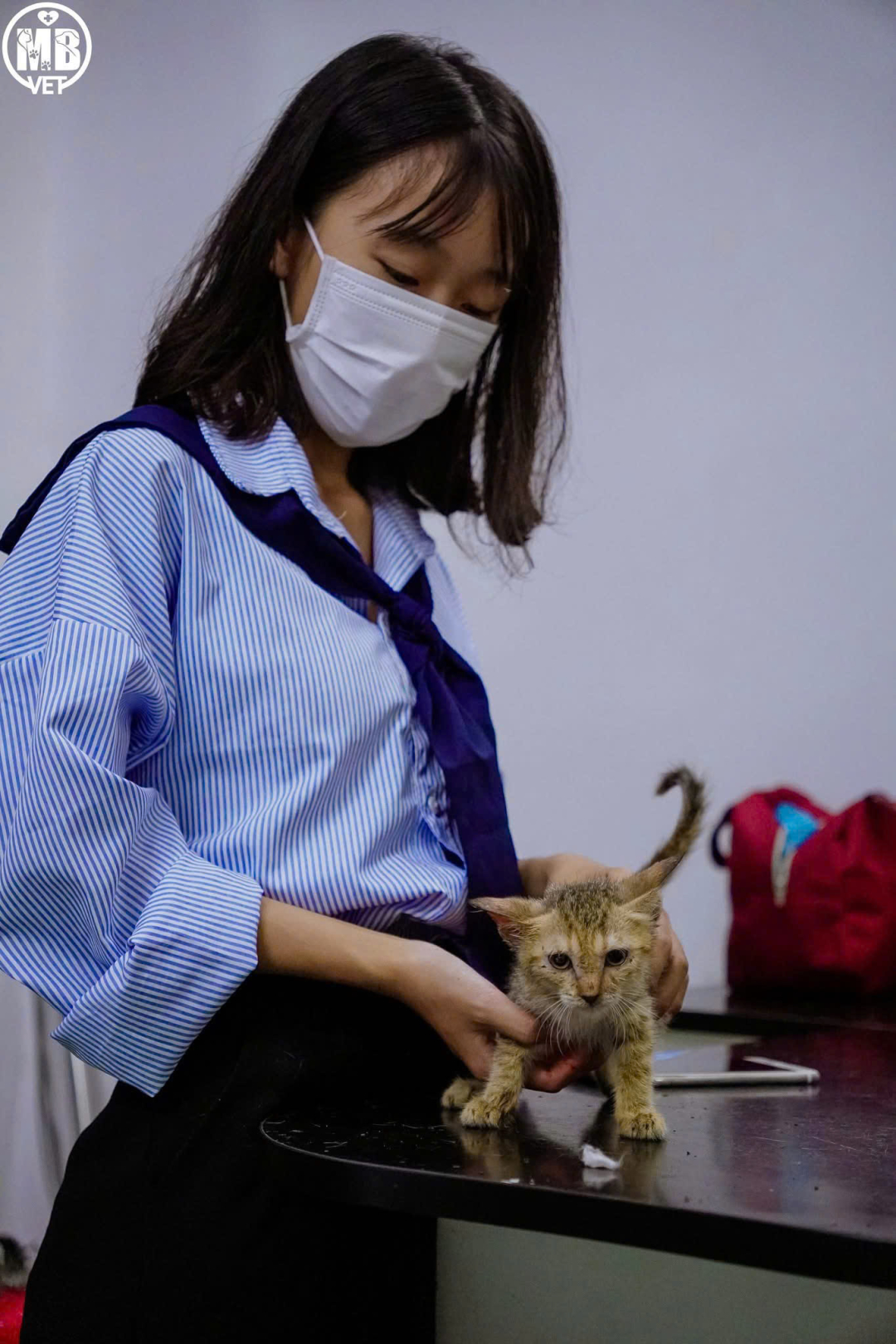 Ảnh khách hàng 12