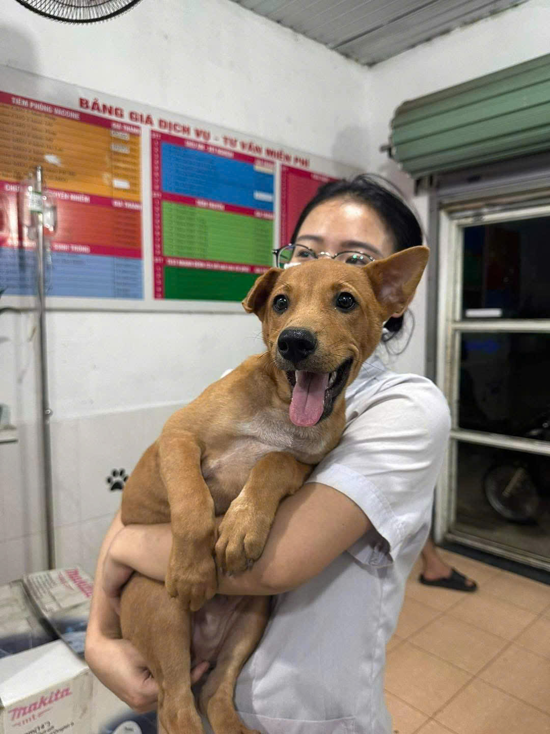 Tận tâm