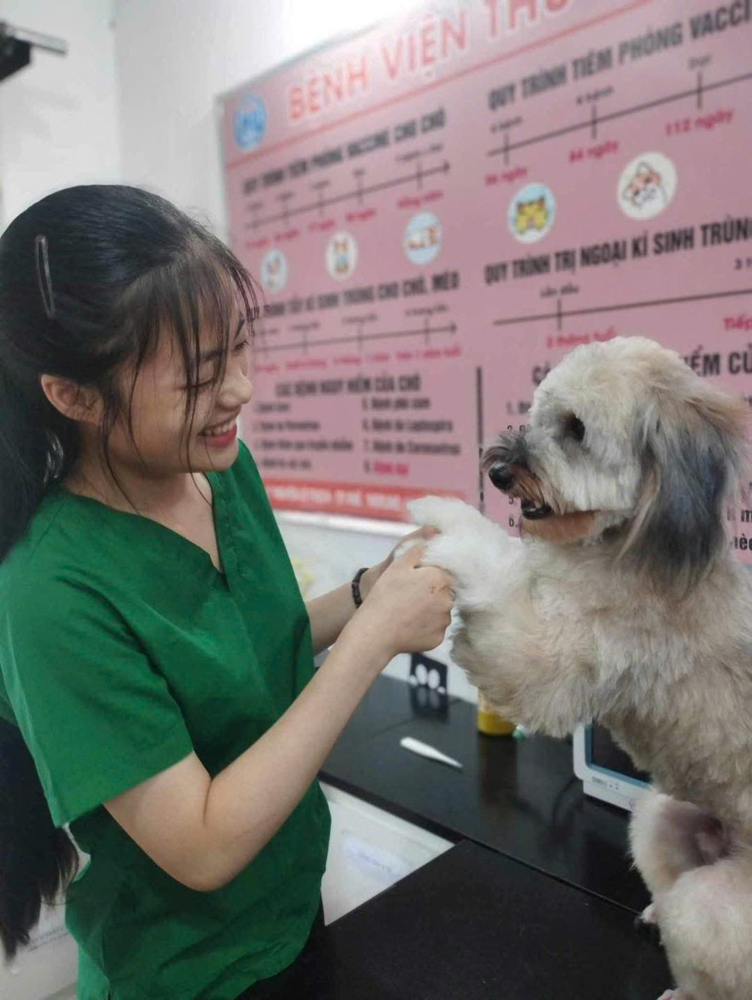 Dịch vụ đa dạng