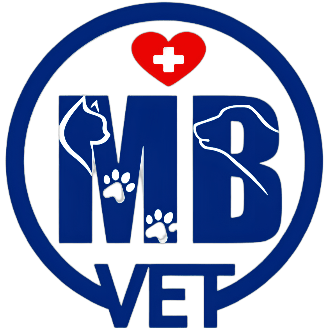 Ảnh đại diện của MB Vet Huế
