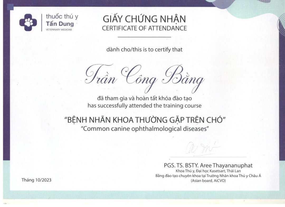 Giấy chứng nhận tham gia khóa đào tạo Bệnh nhãn khoa thường gặp ở chó của MBVet Huế