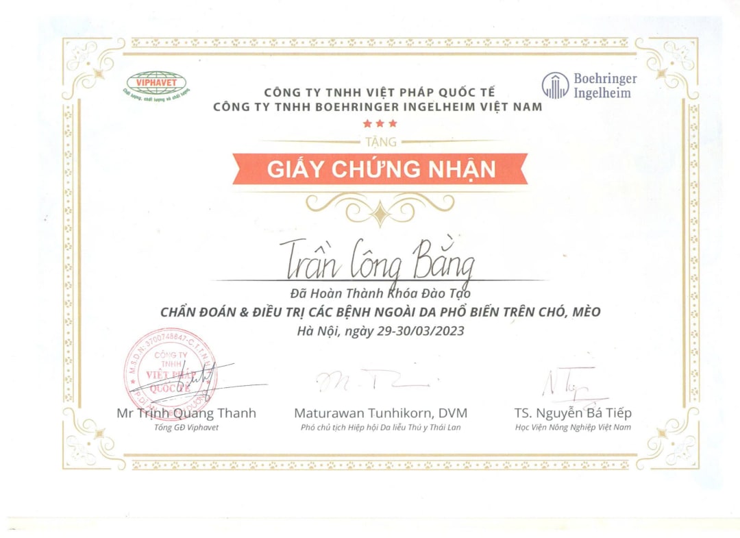 Giấy chứng nhận hoàn thành khóa đào tạo Chẩn đoán và điều trị các bênh ngoài da phổ biến trên chó mèo của MBVet Huế