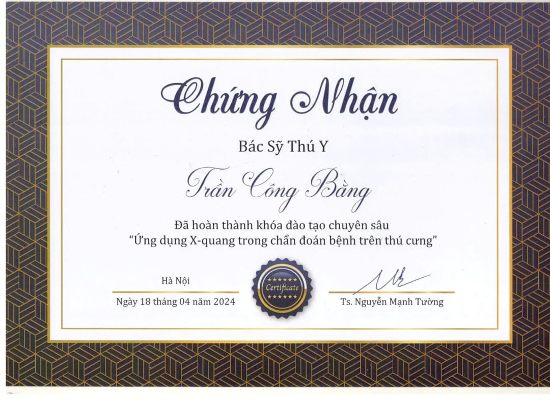Giấy chứng nhận hoàn thành khóa chuyên sâu Ứng dụng X-Quang trong chẩn đoán bệnh trên thú cưng của MBVet Huế