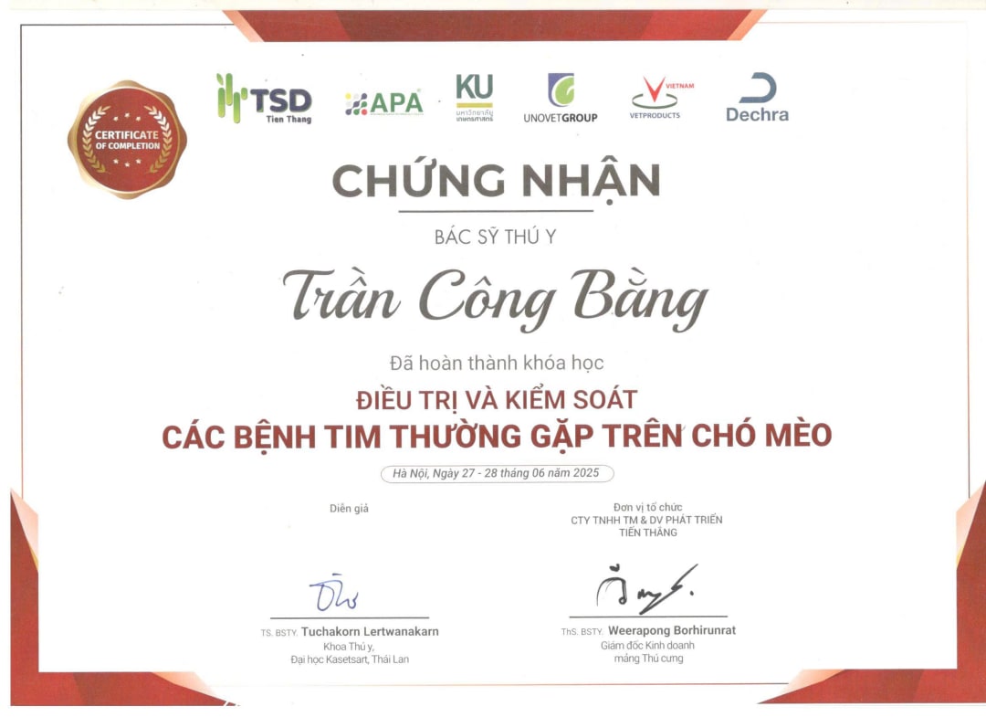 Giấy chứng nhận hoàn thành khóa học Điều trị và kiểm soát các bệnh về tim thường gặp trên chó mèo của MBVet Huế