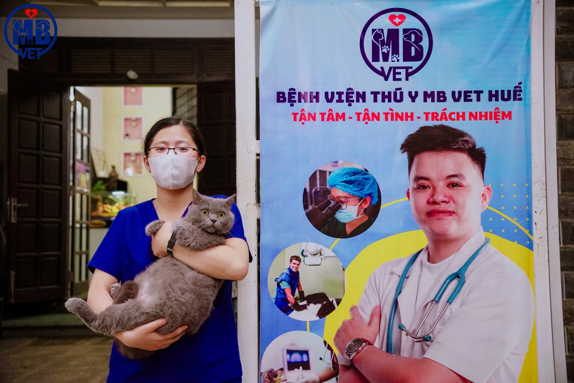Ảnh bìa của bài viết Vaccine 4in1 cho mèo – Khi nào cần tiêm và tại sao không nên bỏ lỡ? 