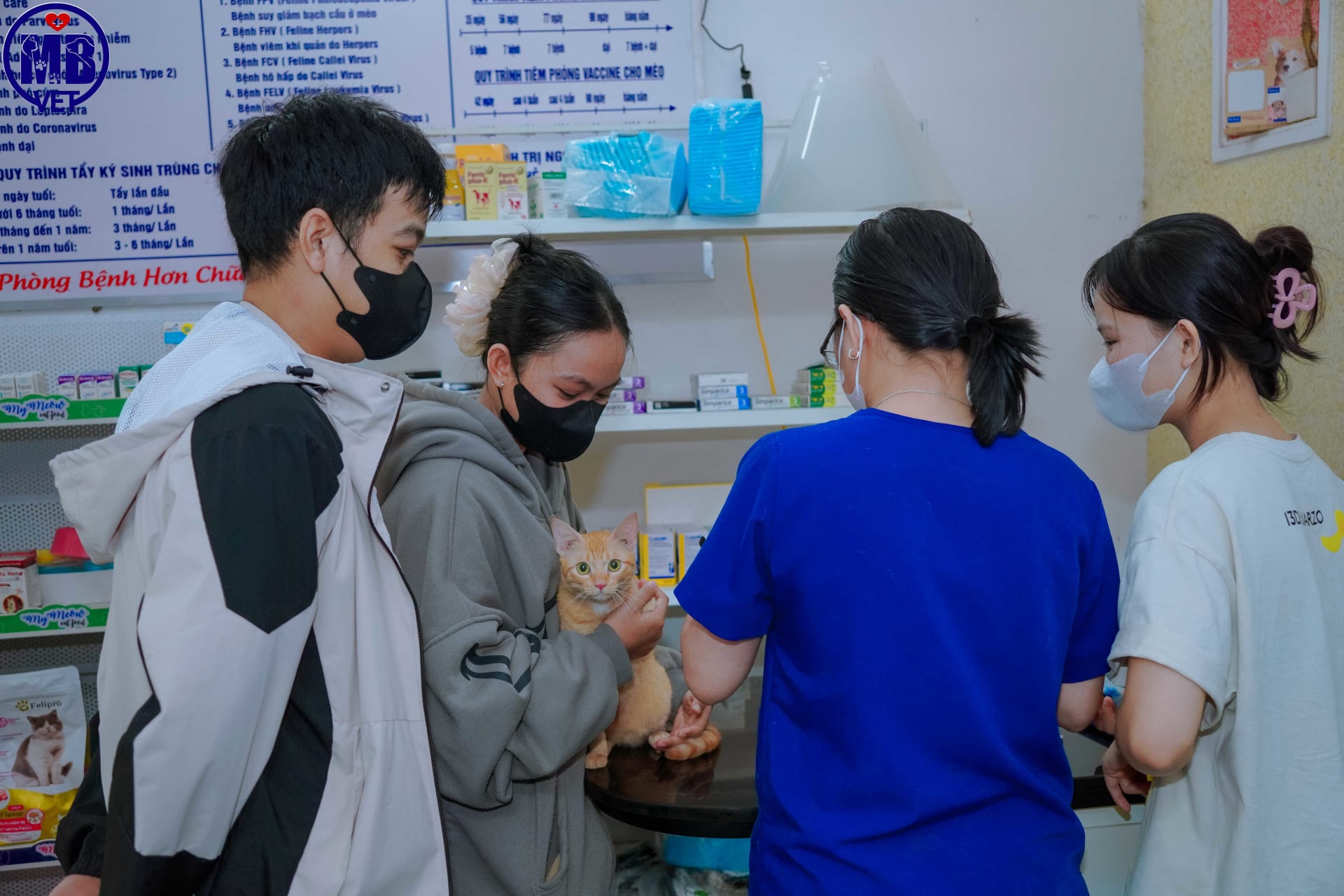 Ảnh bìa của bài viết Chó bị lưu thai có sao không? Nguyên nhân, dấu hiệu và cách xử lý tại Huế