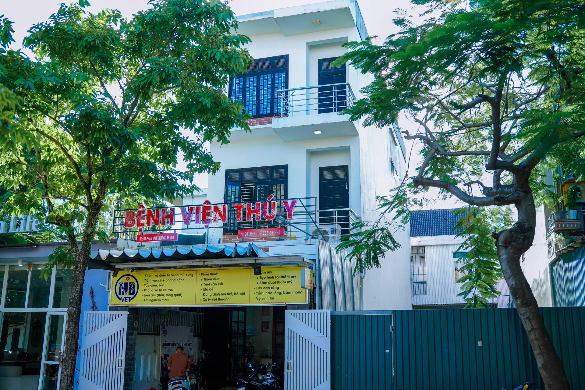 Ảnh bìa của bài viết Phòng khám Thú y Hùng Vương tại Huế – Địa chỉ uy tín chăm sóc sức khỏe thú cưng