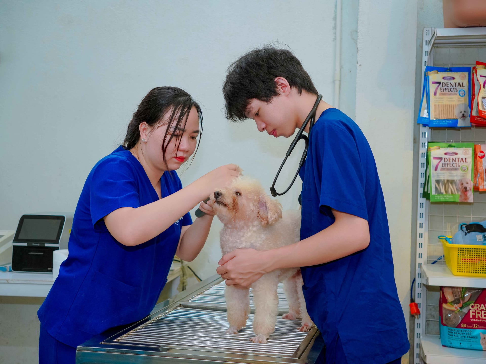Ảnh bìa của bài viết Phòng khám thú y Bờ Bắc Huế – Địa chỉ uy tín để chăm sóc sức khỏe thú cưng