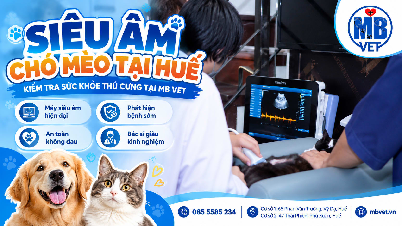 Ảnh bìa của bài viết Siêu Âm Chó Mèo Tại Huế – Kiểm Tra Sức Khỏe Thú Cưng Tại MB VET