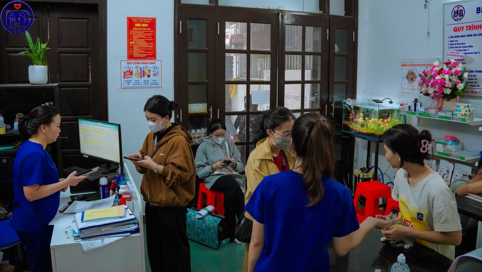 Ảnh bìa của bài viết MB Vet Huế – Bệnh viện thú y uy tín 24/7 chữa bệnh, tiêm phòng & nội trú cho chó mèo