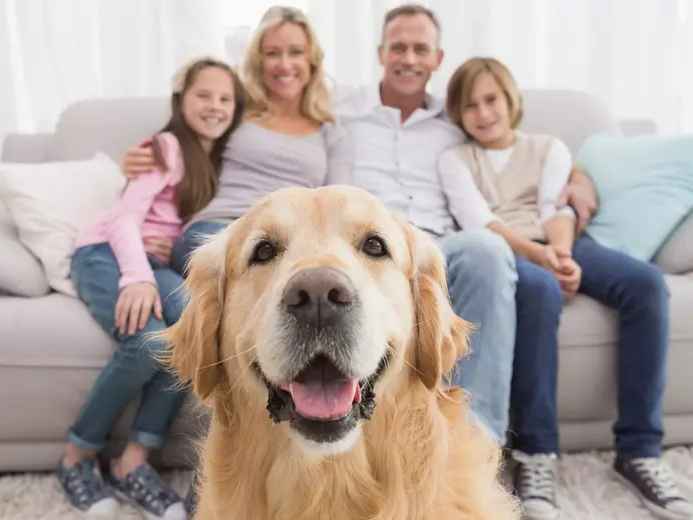 Ảnh bìa của bài viết Tìm hiểu về đặc điểm của chó Cùng MB VET HUẾ