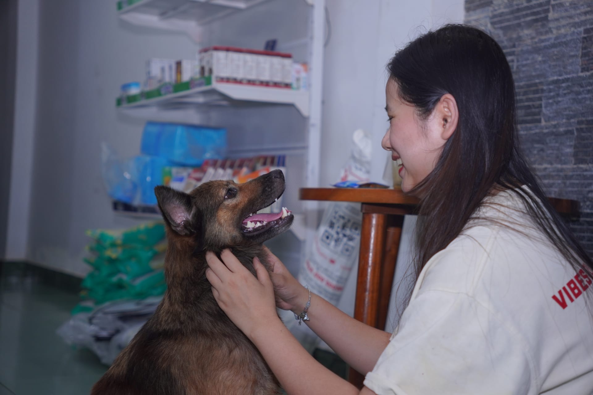 Ảnh bìa của bài viết Chó chảy máu mũi 3 lần liên tiếp – MB VET phát hiện đồng nhiễm Ehrlichia canis và Babesia, hồi phục ngoạn mục sau 3 ngày điều trị