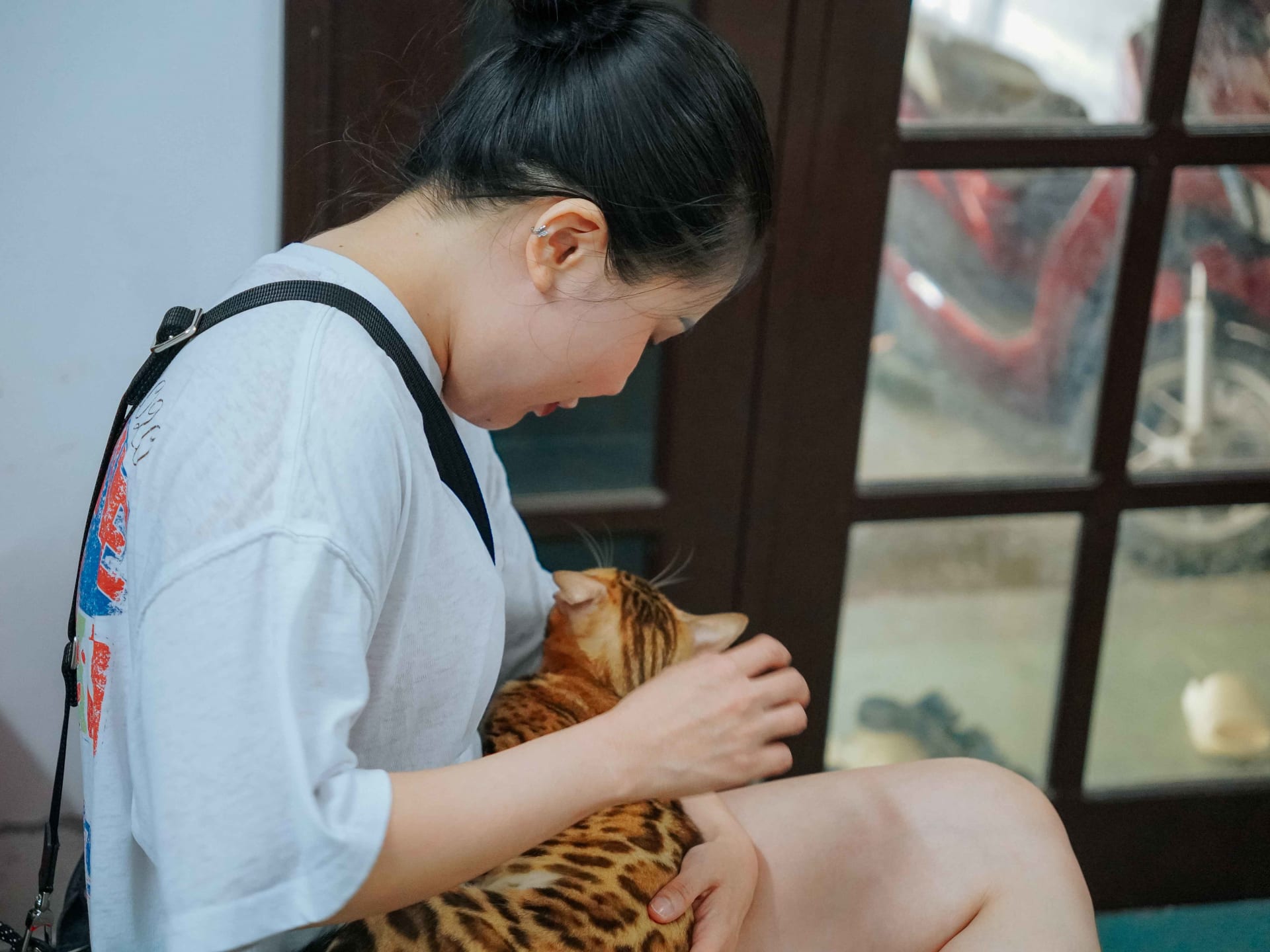Ảnh bìa của bài viết Triệt sản mèo cái: Lợi ích, quy trình và những điều bạn cần biết