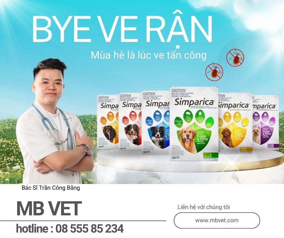 Ảnh bìa của bài viết Ve – ve rận điều trị hiệu quả với Simparica cho thú cưng