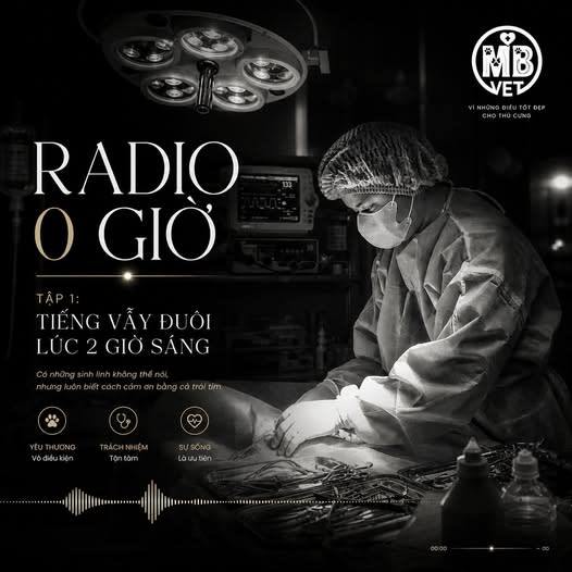 Ảnh bìa của bài viết [RADIO 0 GIỜ] – TẬP 1: TIẾNG VẪY ĐUÔI LÚC 2 GIỜ SÁNG