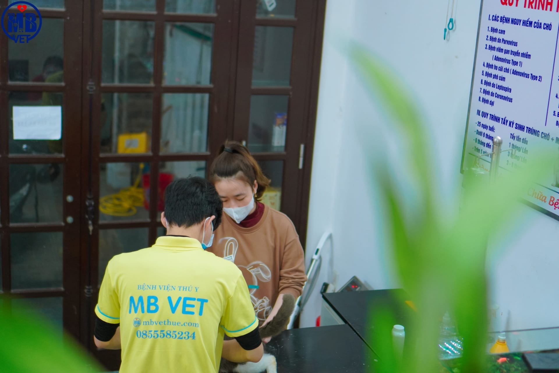 Ảnh bìa của bài viết Khám tổng quát thú cưng tại MB VET Huế – Bước đầu chăm sóc sức khỏe toàn diện